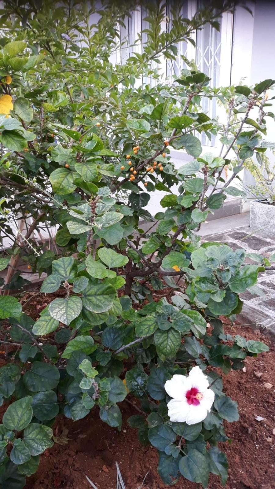 Mahebourg Family Home Bagian luar foto
